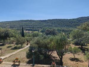 a view of a garden with trees and a mountain at Gîte Le Lion d'Or in Brignoles