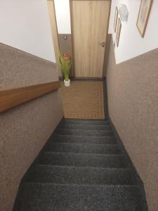 Fotografie z fotogalerie ubytování Pension RELAX U Komína v destinaci Františkovy Lázně