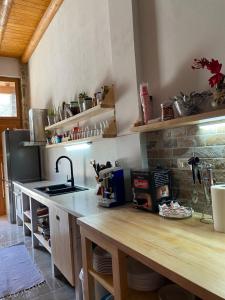 a kitchen with a counter with a sink and a stove at Vila Ramaj in Berat