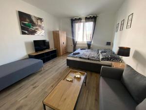 ein Wohnzimmer mit einem Bett und einem Sofa in der Unterkunft Černá růže - Apartmán 4 in Pilsen