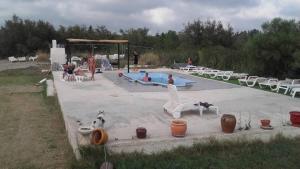 uma piscina com um cão e pessoas e cadeiras em Plages de camargue et logement dans un site calme de rêve em Arles
