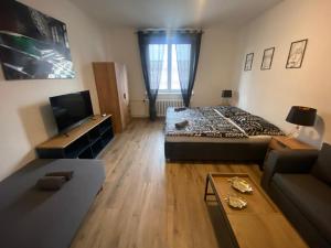 TV a/nebo společenská místnost v ubytování Černá Růže - Apartmán 4