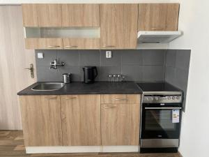 Kuchyň nebo kuchyňský kout v ubytování Černá Růže - Apartmán 4 + 15 fotografií