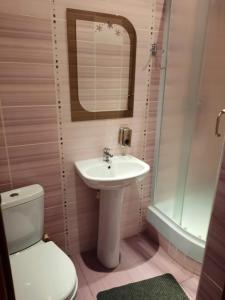 W łazience znajduje się umywalka, toaleta i lustro. w obiekcie House Lorien w mieście Nyírbogdány