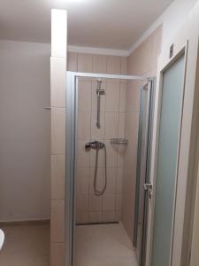 La salle de bains est pourvue d'une douche avec une porte en verre. dans l'établissement Penzion ČESKÁ FARMA, à Vysoké Mýto