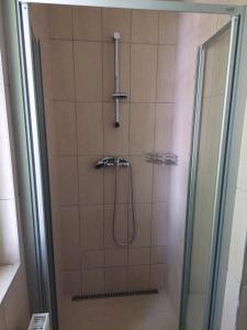 La salle de bains est pourvue d'une douche avec une porte en verre. dans l'établissement Penzion ČESKÁ FARMA, à Vysoké Mýto