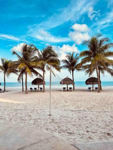 una playa con palmeras y sombrillas en la playa en Surfer’s Sanctuary on uncrowded beach!, en Punta Chame