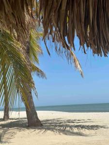 a palm tree on a beach with the ocean at Surfer’s Sanctuary on uncrowded beach! in Punta Chame