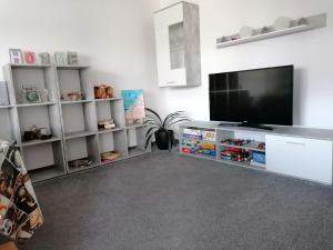 sala de estar con TV de pantalla plana y estanterías en Ferienwohnung Little Joe, en Hötzelsroda