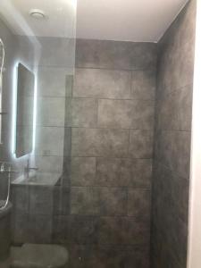 a bathroom with a shower with a sink and a mirror at Labone Luxury Condo and Apartment in Accra - FiveHills homes in Accra