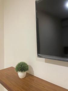 Moloch Hostel & Suites في كانكون: يوجد خزاف نبات على طاولة خشبية بجوار التلفزيون