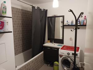 a bathroom with a washing machine and a sink at chambre d'hôte / B&B Massy 1 minute gare TGC/RER in Massy