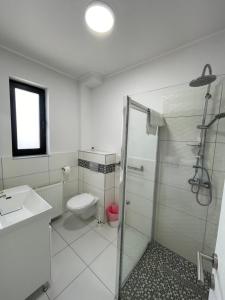 uma casa de banho com um chuveiro, um WC e um lavatório. em ALPIN rooms em Topliţa