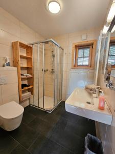 a bathroom with a shower and a sink and a toilet at Feriendorf Oberreit in Maishofen