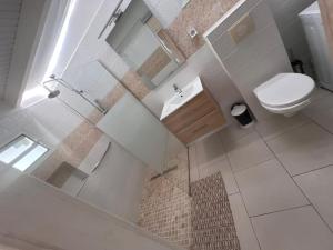 聖安妮的住宿－Villa Sissy: T2 avec jaccuzzi，白色的浴室设有卫生间和水槽。