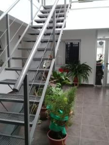 a staircase in a house with potted plants at Departamento monoambiente centro pb nuevo sencillo Av Belgrano D3 in Marcos Juárez