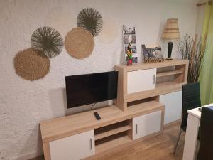 een woonkamer met een tv op een houten entertainmentcentrum bij Can Teixidor in Besalú