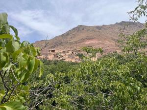uma aldeia no topo de uma montanha com árvores em Imlil em Marraquexe
