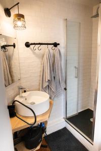 La salle de bains est pourvue d'un lavabo et d'une douche. dans l'établissement Le Petit Nicolas - Centre historique de Blois - NETFLIX, JEUX, RETROJECTEUR, à Blois