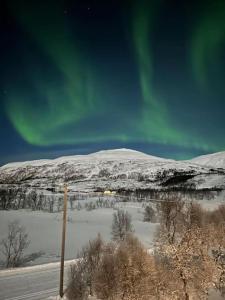 Aurora Borealis v zimě