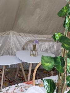 una mesa y sillas con una flor en una tienda de campaña en Thousand Stars Desert Camp, en Badīyah