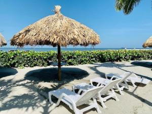 dos sillas y una sombrilla de paja en una playa en Samaria Club de Playa - Pozos Colorados - By INMOBILIARIA VS, en Santa Marta