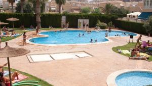 grupa ludzi w basenie w obiekcie Casa Vromans Alto w mieście Torrevieja