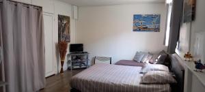 ein Schlafzimmer mit einem Bett und einem TV in der Unterkunft Appartement/studio dans petite résidence calme in La Ciotat