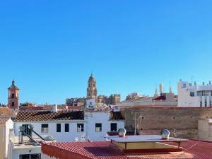 uitzicht op de stad vanaf de daken van gebouwen bij Exclusive Malaga Apartments with Cathedral Views and Auto Check-in in Málaga