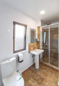een badkamer met een toilet, een wastafel en een douche bij Pensiunea Clasic in Curtea de Argeş