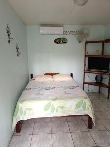 1 dormitorio con 1 cama en una habitación con TV en Posada Rural Río Celeste, en Rio Celeste