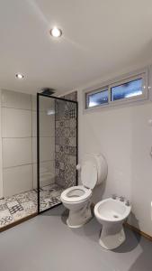 a bathroom with a toilet and a shower in it at La Botica de 1852 Hotel in Chascomús