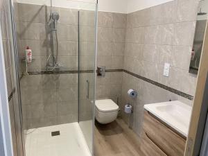 ein Bad mit einer Dusche, einem WC und einem Waschbecken in der Unterkunft Casaromance in Saint-Parres-aux-Tertres