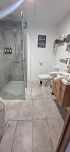 een badkamer met een glazen douche en een toilet bij Appartement cosy près de Douai in Flers-en-Escribeus