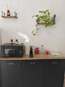 Кухня или мини-кухня в Studio Hole - Lingotto

