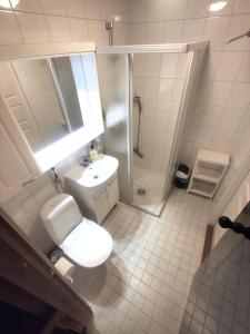 een badkamer met een toilet, een wastafel en een douche bij Leviloma - 21m2 A - Levi majoitus loma-asunto Levistar huoneisto - Levi accommodation Levistar apartment in Levi