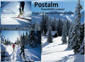 Villa Edelweiss - 3 to 6 Guests - private use of indoor pool, sauna and garden terrace v zimě