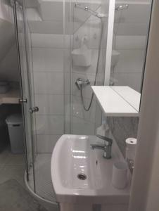 uma casa de banho com um lavatório e uma cabina de duche em vidro. em Apartment/mieszkanie u Janusza em Grybów