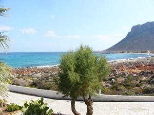 a palm tree on a beach with the ocean at Blue Beach Villas Apartments in Stavros