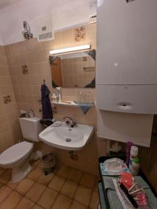 een kleine badkamer met een toilet en een wastafel bij Ulmenzweig Apartment in Siegsdorf