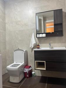 een badkamer met een toilet, een wastafel en een spiegel bij TOP-Apartments in Pristina