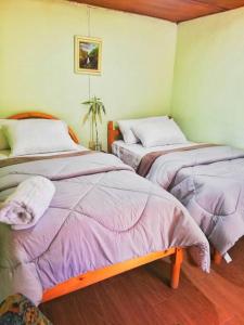 1 dormitorio con 2 camas con edredones morados en Hospedaje Dulce Piedad, en Ambato