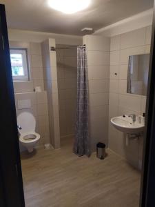 a bathroom with a toilet and a sink at Chaty u rybníka in Bohdalov +41 photos