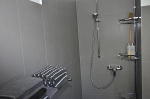 La salle de bains est pourvue d'une douche, d'un lavabo et de serviettes. dans l'établissement Aquarell, à Schönberger Strand