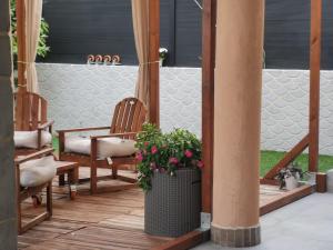 eine Veranda mit Stühlen und einer Topfpflanze in der Unterkunft Chambre d'hôte in Grabels