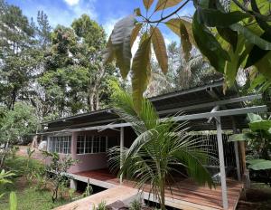 Monkey Lodge Panama في Chilibre: منزل به سطح خشبي في حديقة
