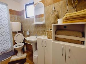 y baño con aseo y lavamanos. en Apartman Orhideja en Novi Banovci
