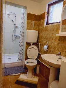 y baño con aseo, lavabo y ducha. en Apartman Orhideja en Novi Banovci