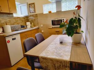 una cocina con una mesa con una maceta. en Apartman Orhideja en Novi Banovci