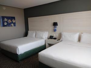Postel nebo postele na pokoji v ubytování Holiday Inn Express Pachuca by IHG